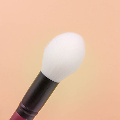 BlushBrush