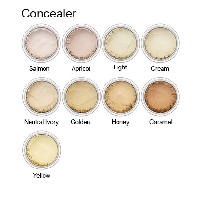 ConcealerSwatch